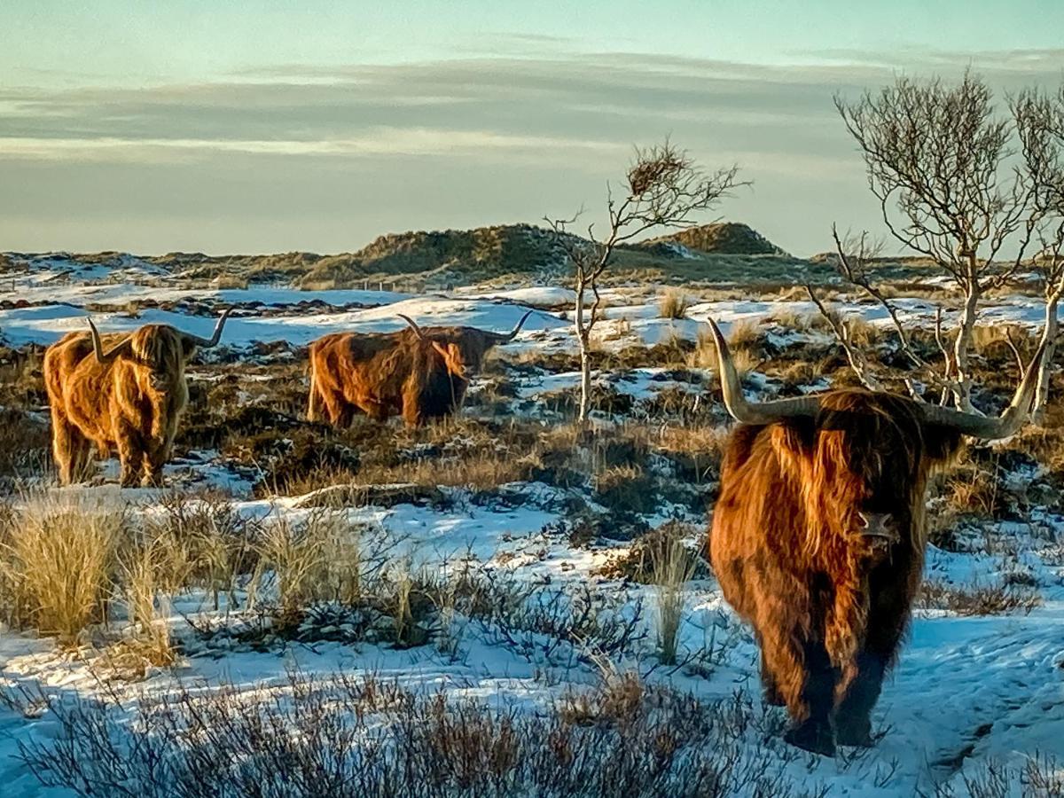 Loods Hotel Vlieland Luaran gambar