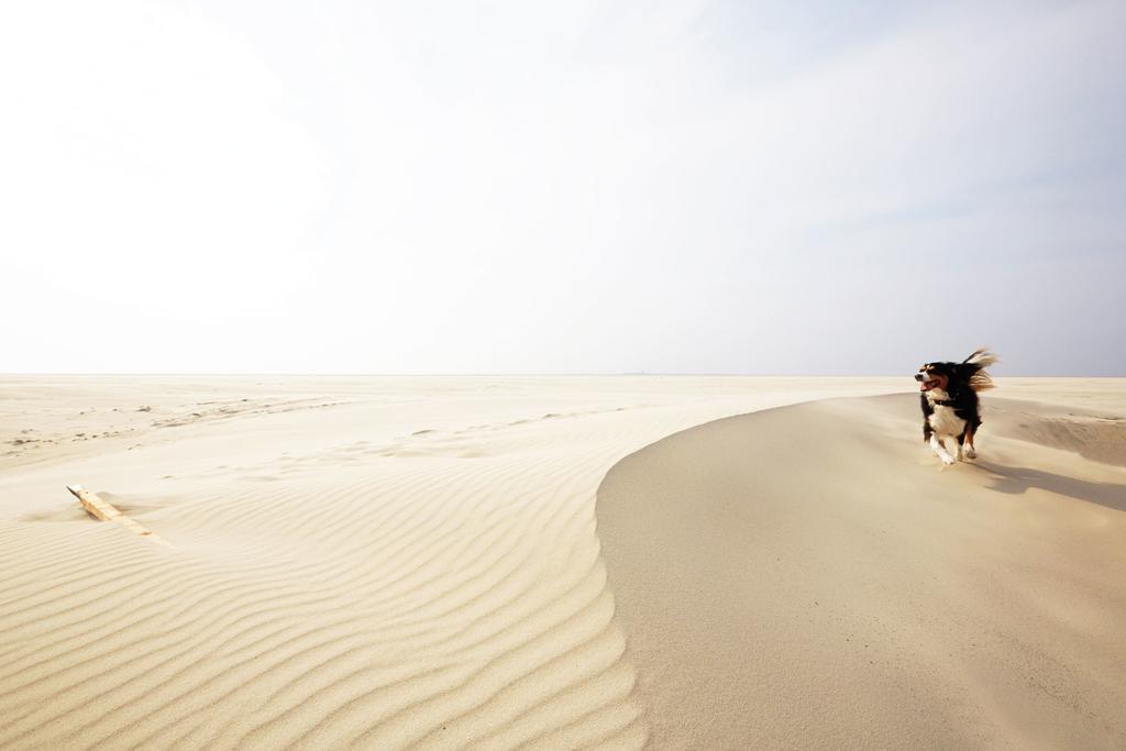 Loods Hotel Vlieland Luaran gambar