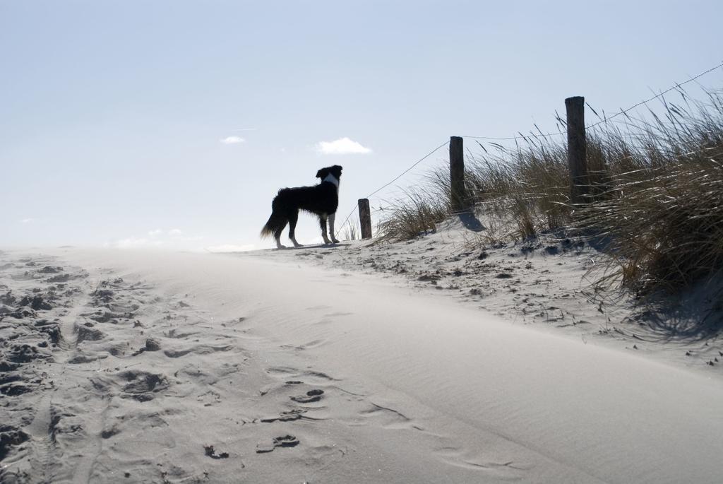 Loods Hotel Vlieland Luaran gambar